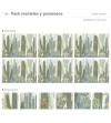 Pack de 6 Manteles y 6 Posavasos Green Cactus