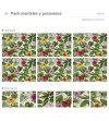 Pack de 6 Manteles y 6 Posavasos Verano